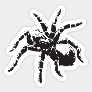 CreepyCool Tarantula Sticker